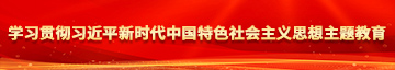 免费看大奶子小骚逼喷水学习贯彻习近平新时代中国特色社会主义思想主题教育